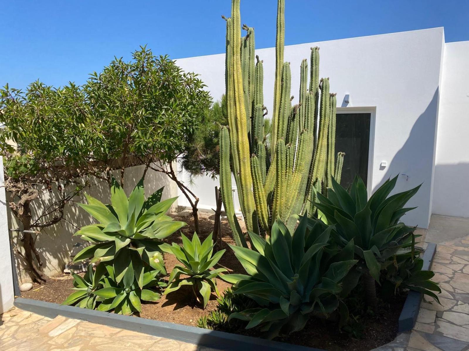 Casa La Isla Apartment Sagres Exterior photo
